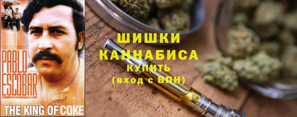 бошки Алексин