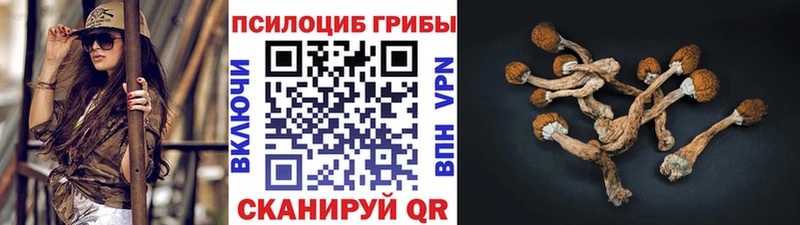 Галлюциногенные грибы MAGIC MUSHROOMS  Данков 